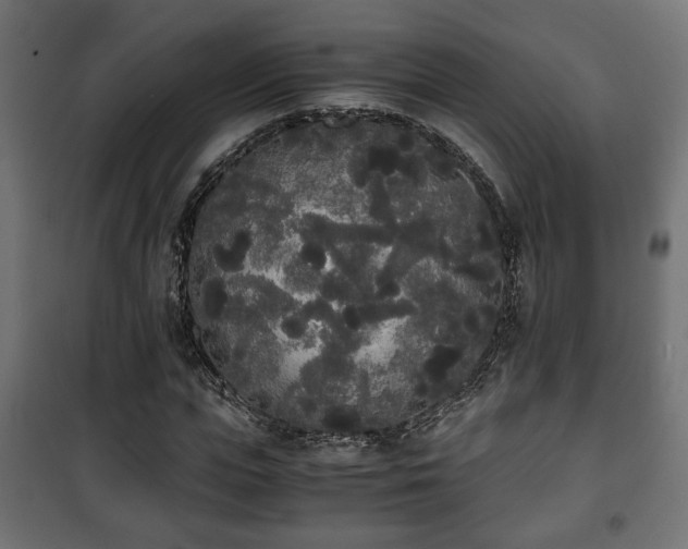 X0000101390823200807141130