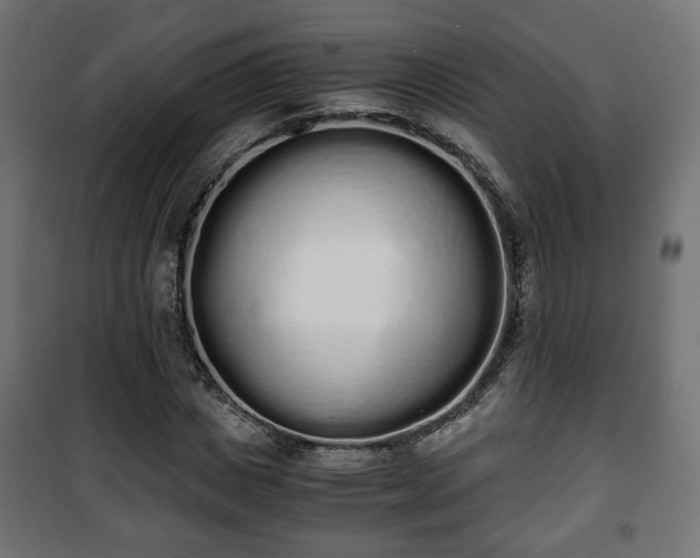 X0000101390825200807141130