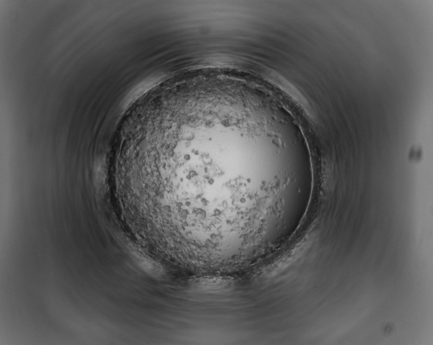 X0000101390826200807141130