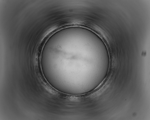 X0000101390827200807141130