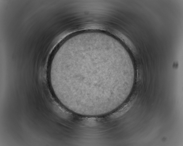 X0000101390828200807141130