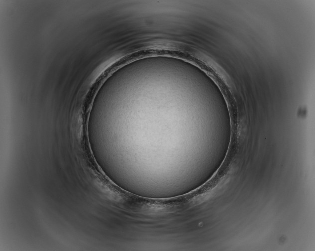 X0000101390829200807141130