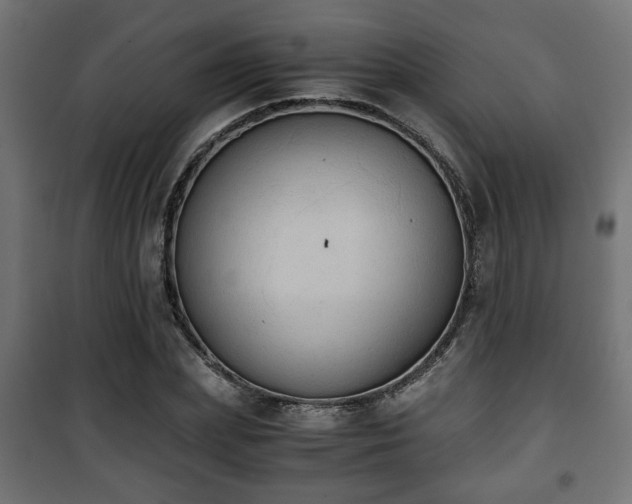 X0000101390831200807141130