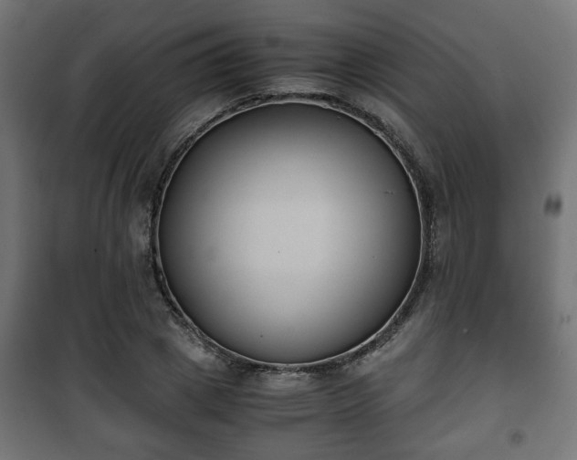 X0000101390833200807141130