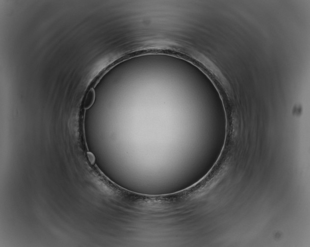 X0000101390834200807141130