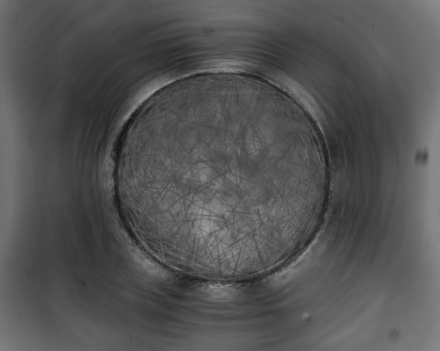 X0000101390835200807141131