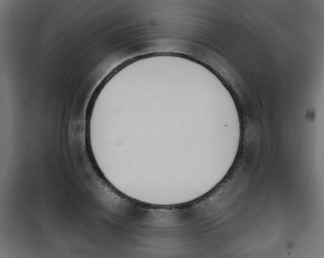 X0000101390836200807141131