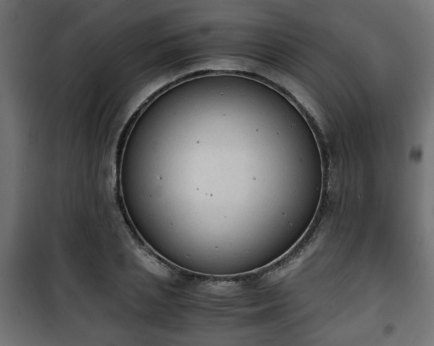 X0000101390837200807141131