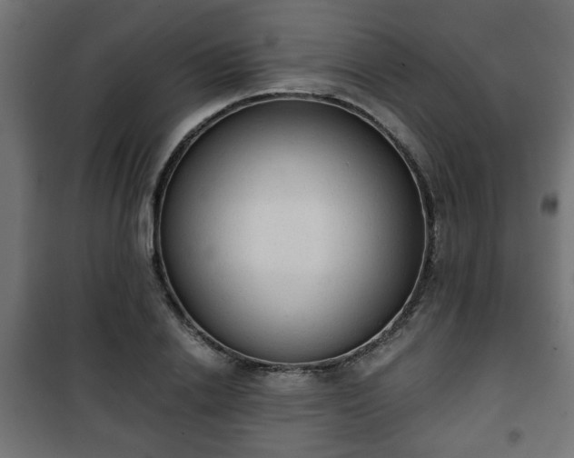 X0000101390838200807141131