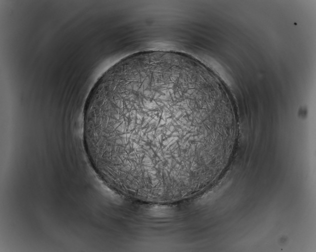 X0000101390839200807141131