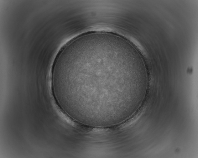 X0000101390840200807141131