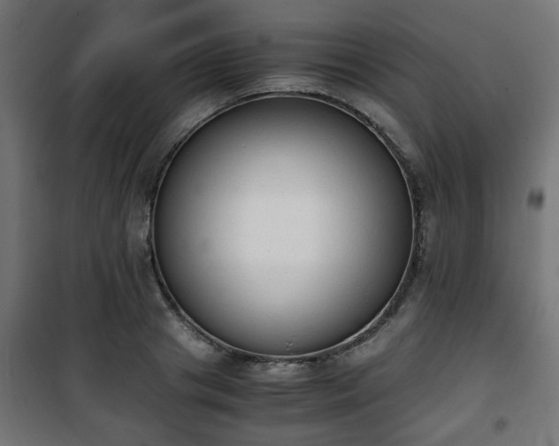 X0000101390841200807141131