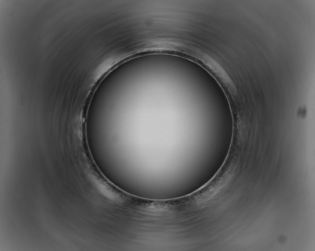 X0000101390842200807141131