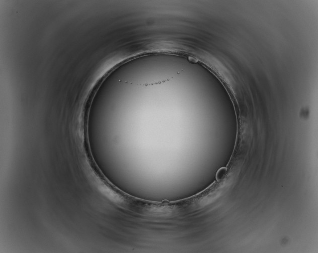 X0000101390843200807141131