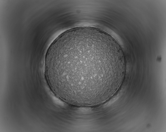 X0000101390844200807141131