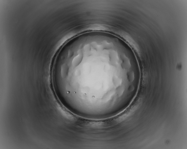 X0000101390845200807141131