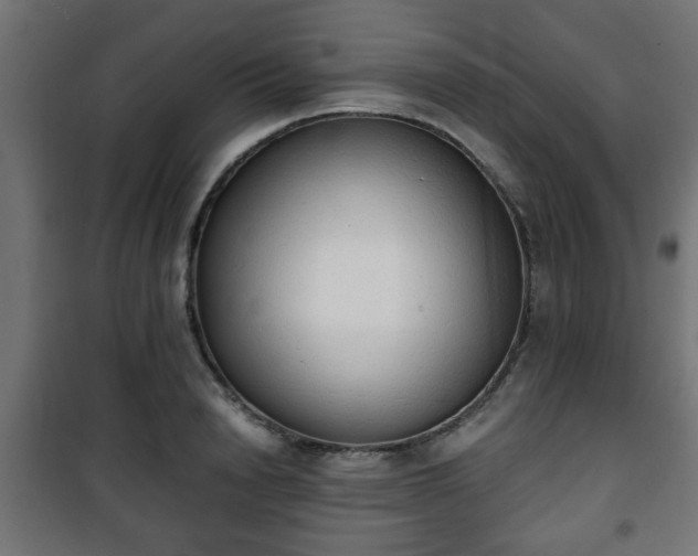 X0000101390846200807141131