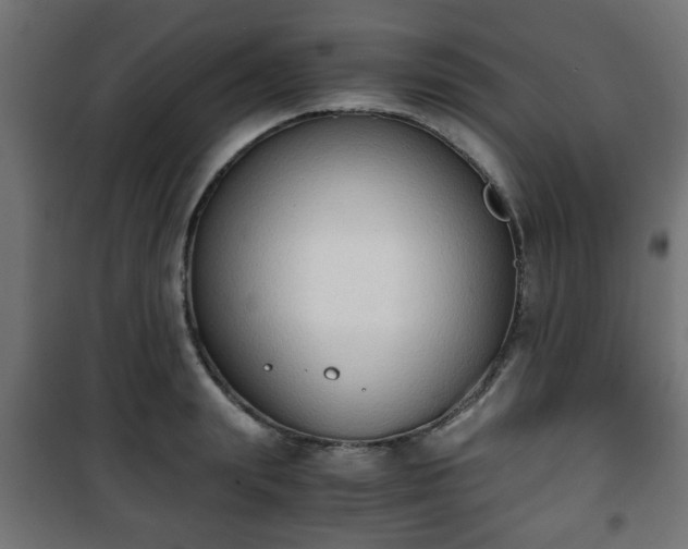 X0000101390847200807141131