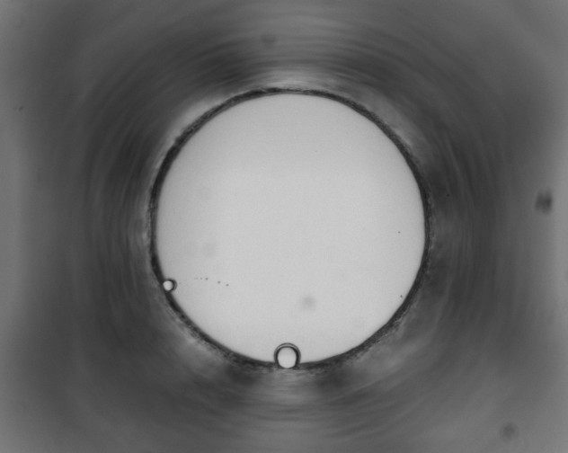 X0000101390848200807141131