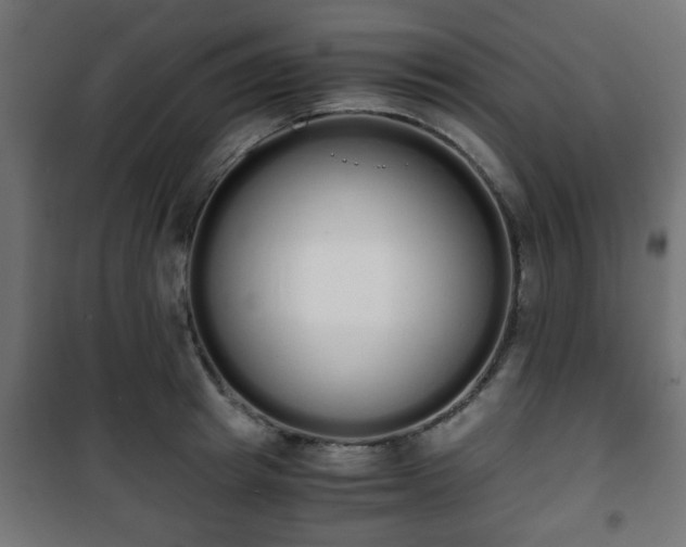 X0000101390849200807141131