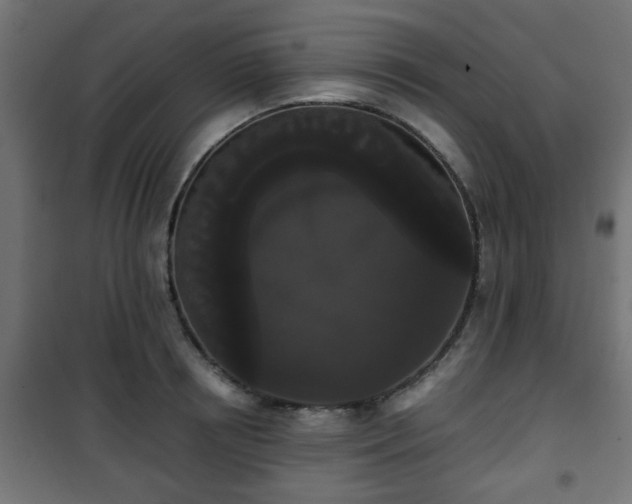 X0000101390850200807141131