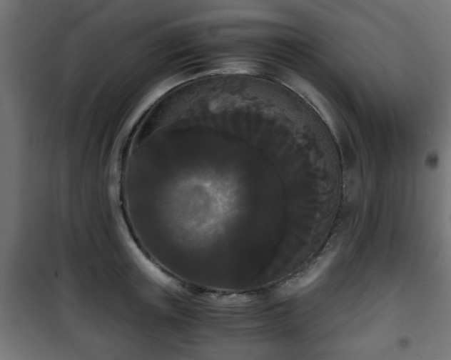 X0000101390851200807141131