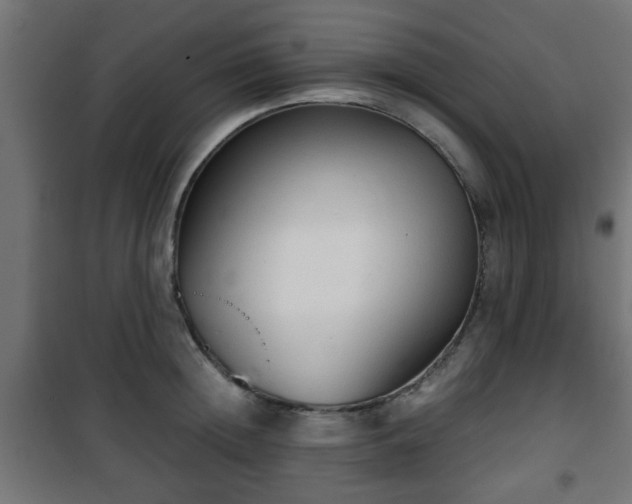 X0000101390852200807141131