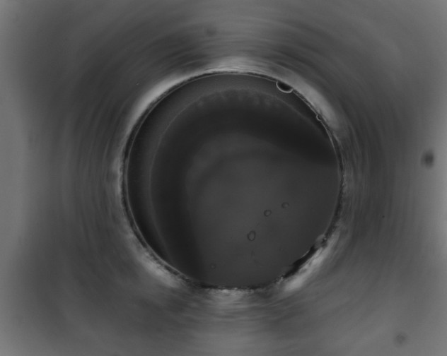 X0000101390854200807141131