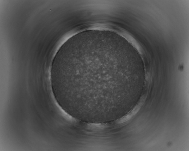 X0000101390855200807141131