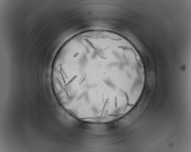 X0000101390856200807141131