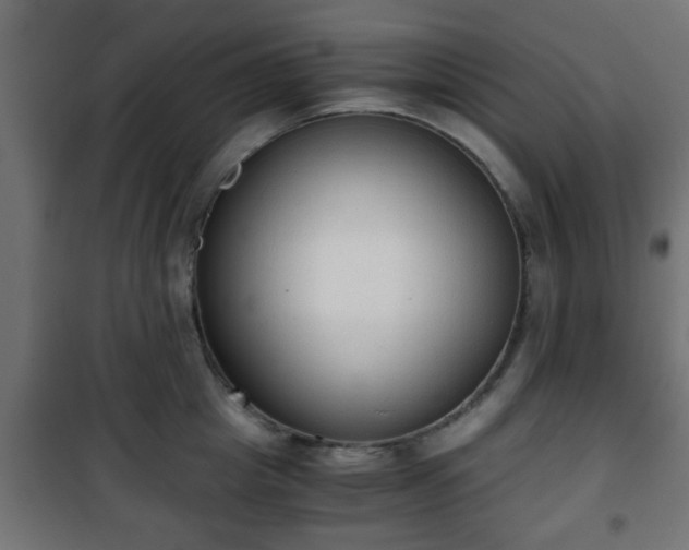 X0000101390857200807141131