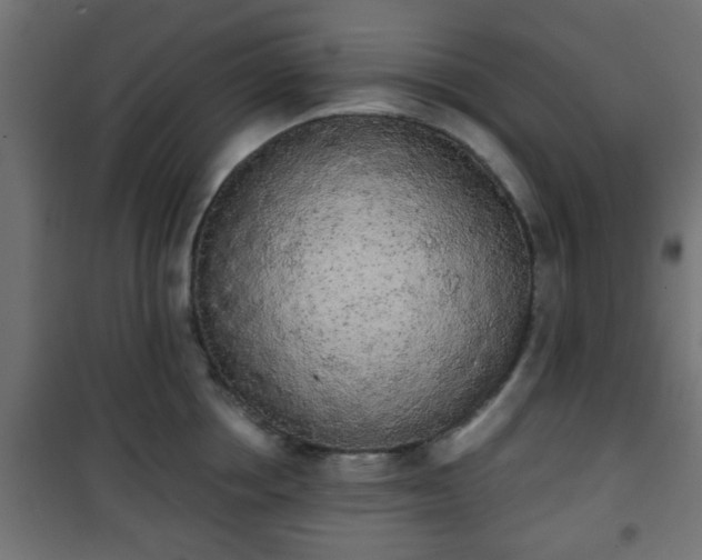 X0000101390858200807141131