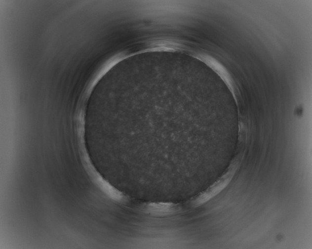 X0000101390859200807141131