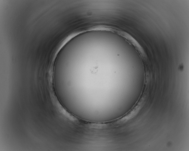 X0000101390860200807141131