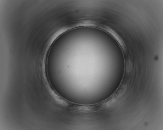 X0000101390861200807141131