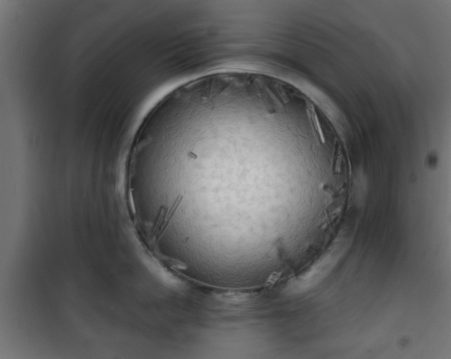 X0000101390862200807141131