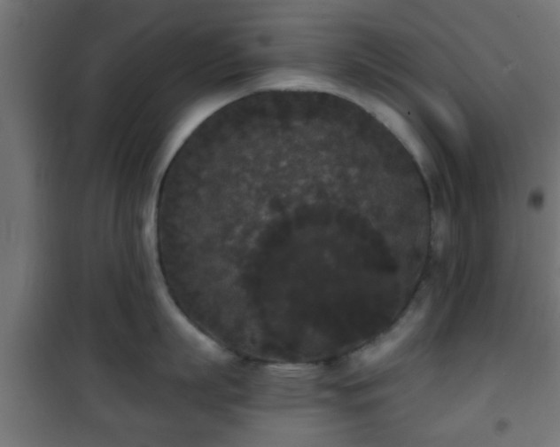 X0000101390863200807141131