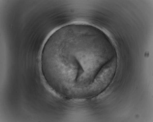 X0000101390864200807141131