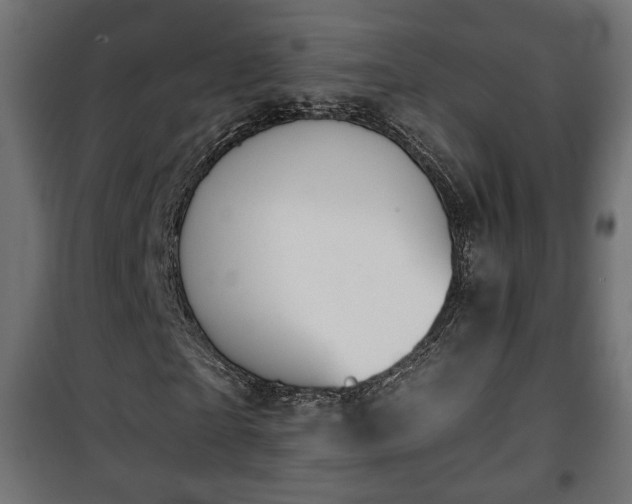 X0000101390865200807141130