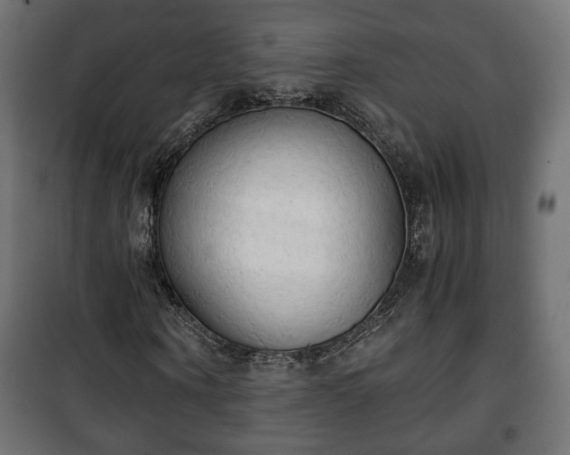 X0000101390866200807141130