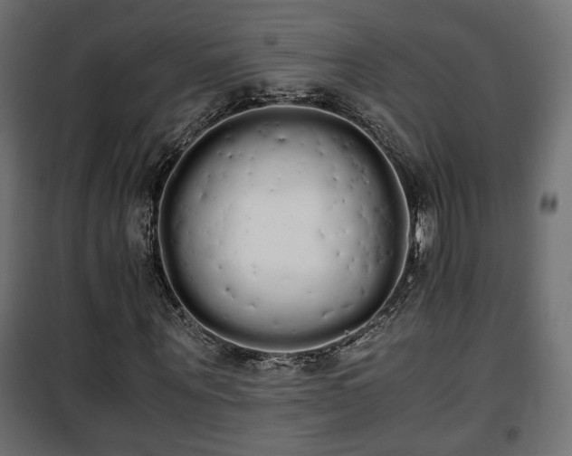 X0000101390867200807141130