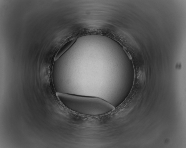 X0000101390868200807141130