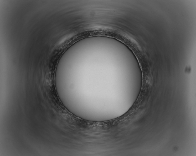 X0000101390869200807141130