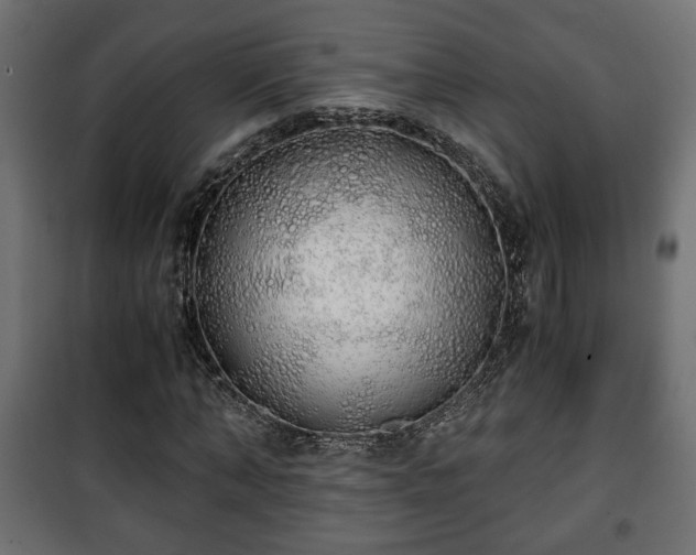 X0000101390870200807141130