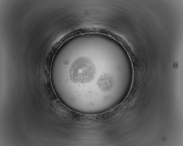 X0000101390871200807141130