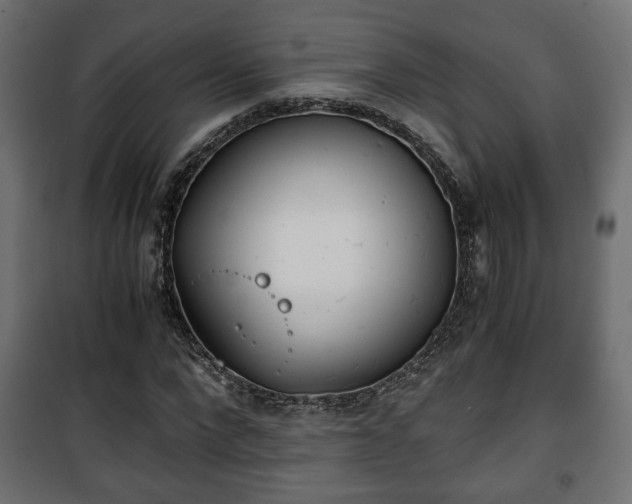 X0000101390872200807141130