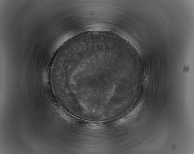 X0000101390874200807141130