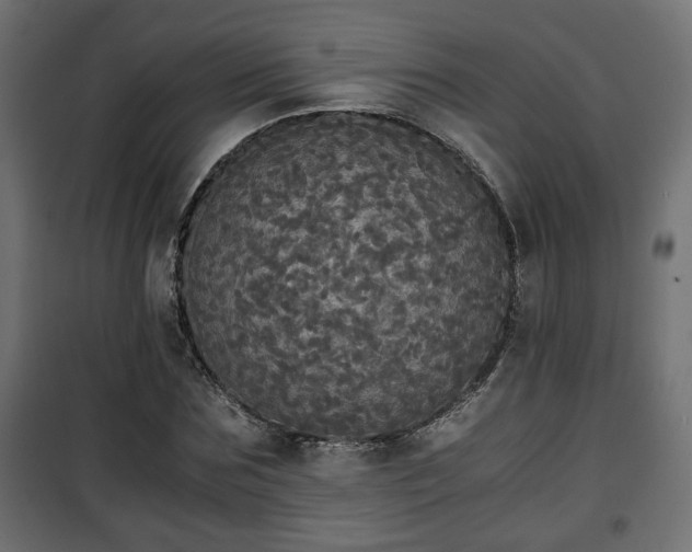 X0000101390875200807141130