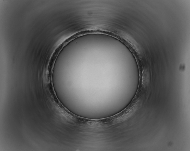 X0000101390876200807141130