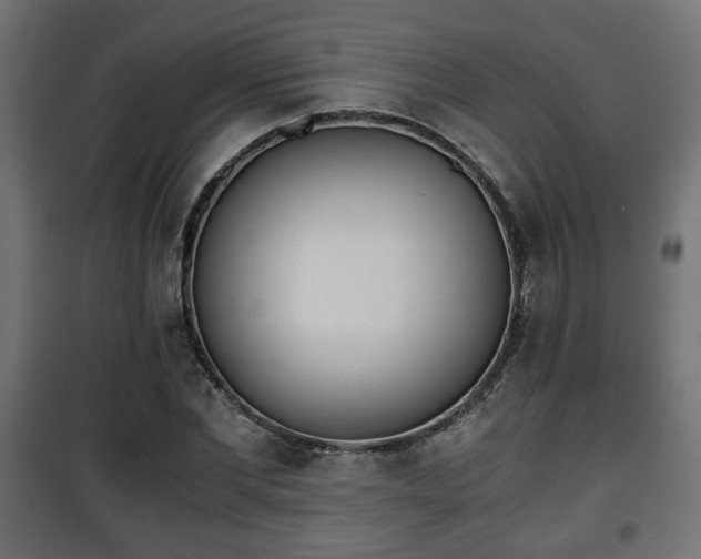 X0000101390877200807141130